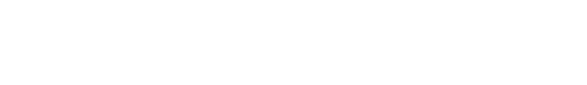 Bikas Gruppo Text Logo